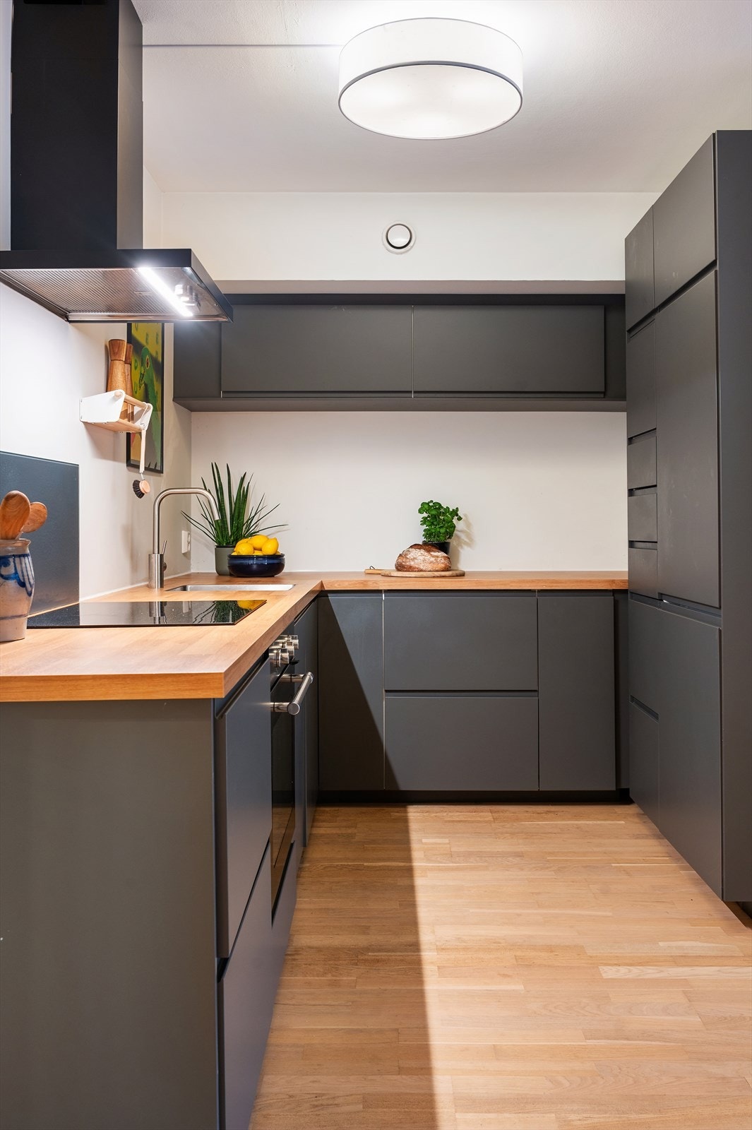 Rommet er utstyrt med integrert platetopp, stekeovn, oppvaskmaskin og kjøl-/fryseskap. En kullfilterventilator er montert over kokeplassen. Galleribilde