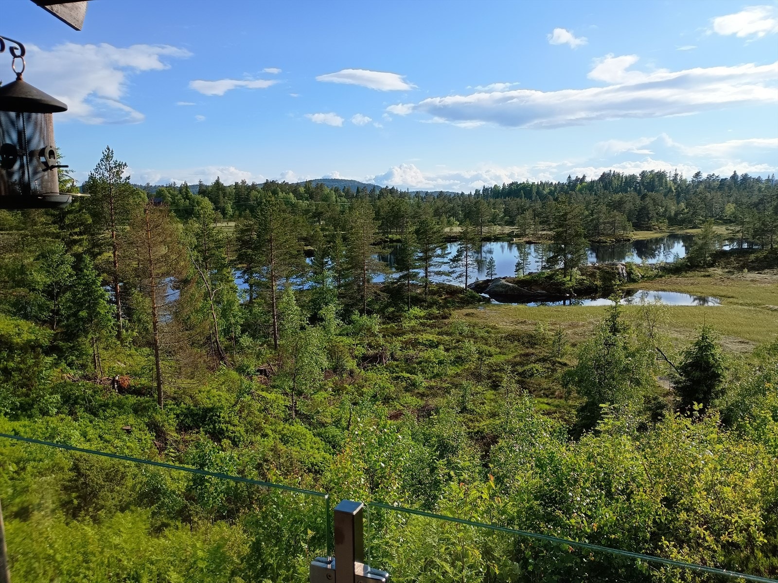 Grønt og frodig rundt hytten vår og sommerstid Galleribilde