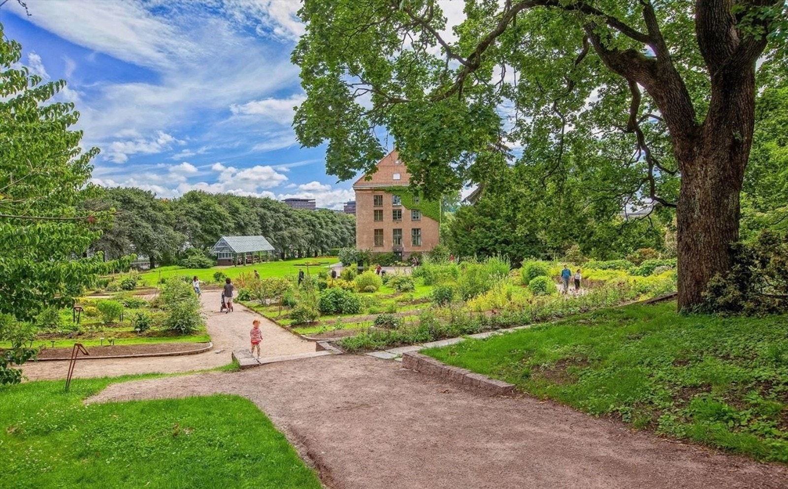 Både idylliske Tøyenparken, Botanisk hage og Kampen hageby i nærområdet. Galleribilde