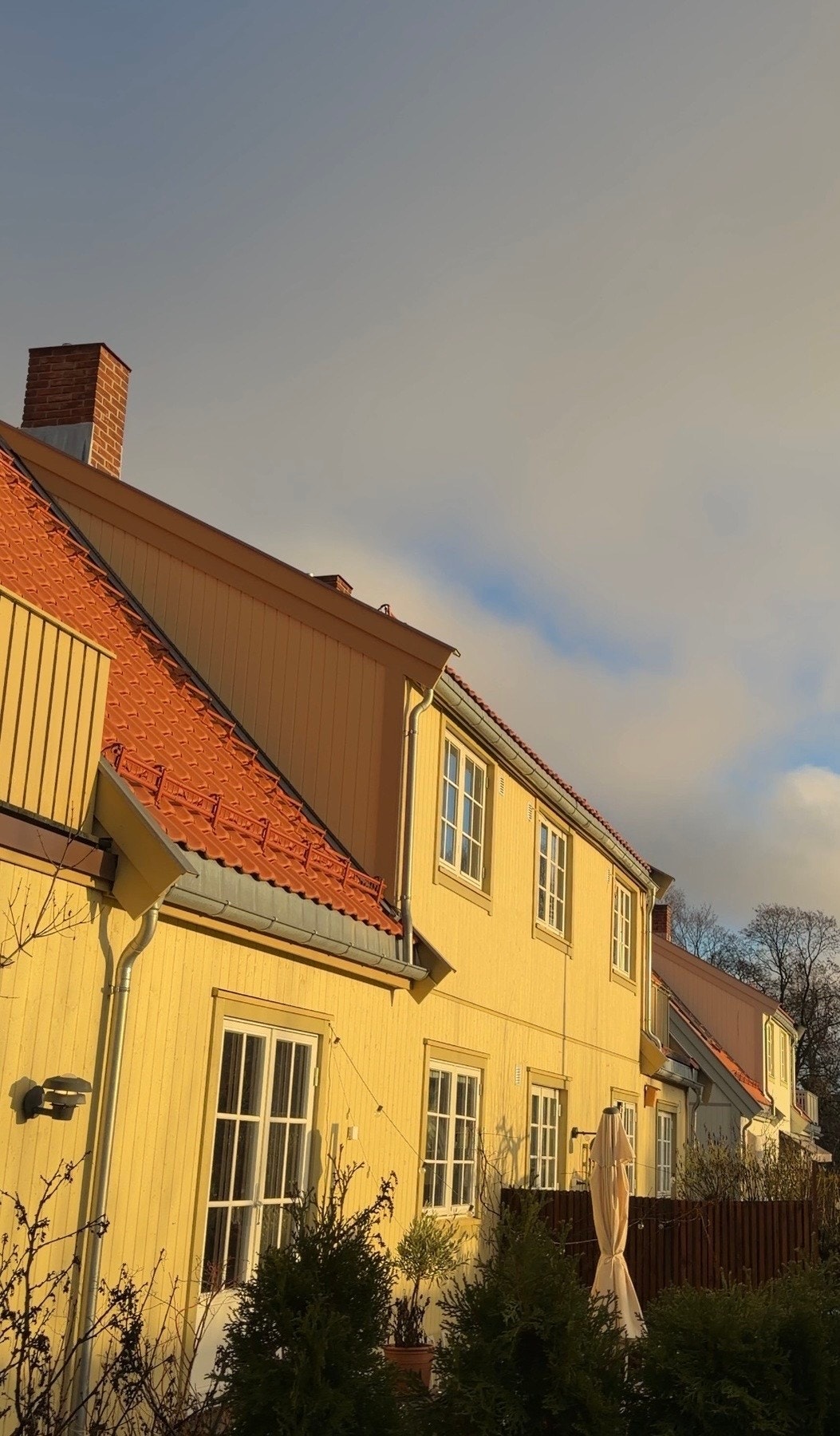 Sees vi? Galleribilde