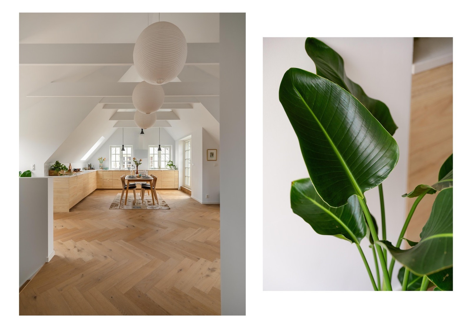 En siste titt på dette rommet før vi går ned. Galleribilde