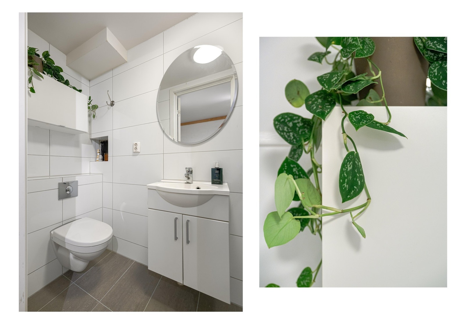 Siden badet ikke er like nytt som det i etasjen over så smører vi på med en grønn plante vi da. Galleribilde