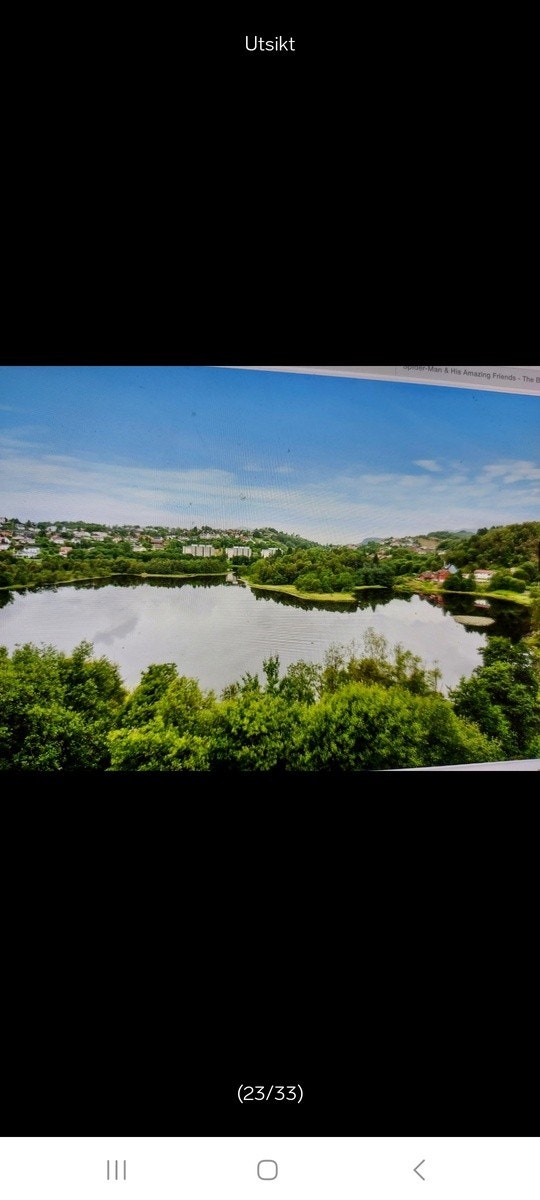 Utsikt Galleribilde