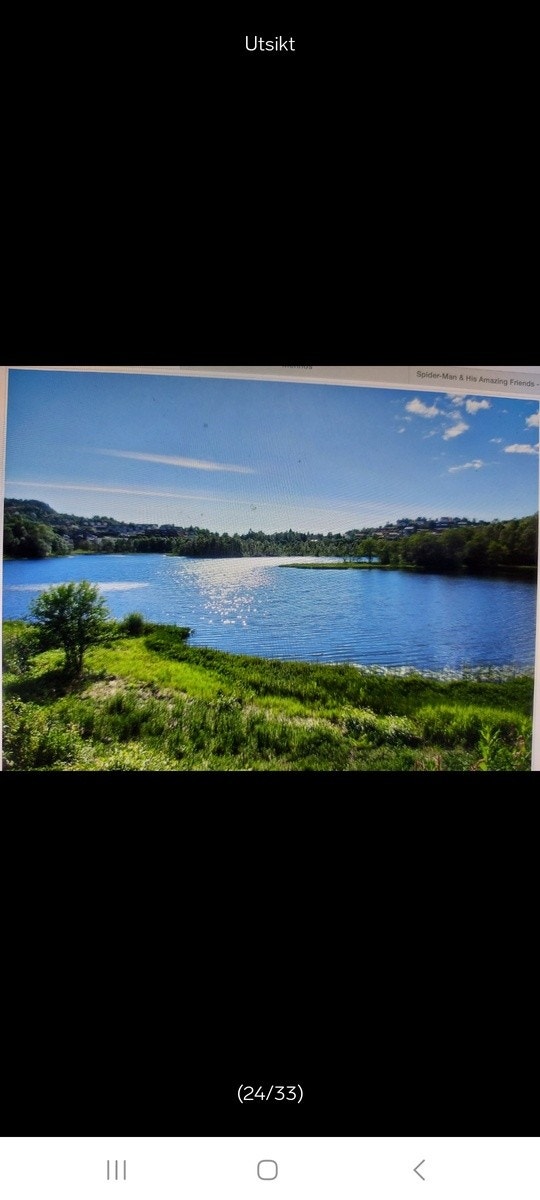 Utsikt Galleribilde