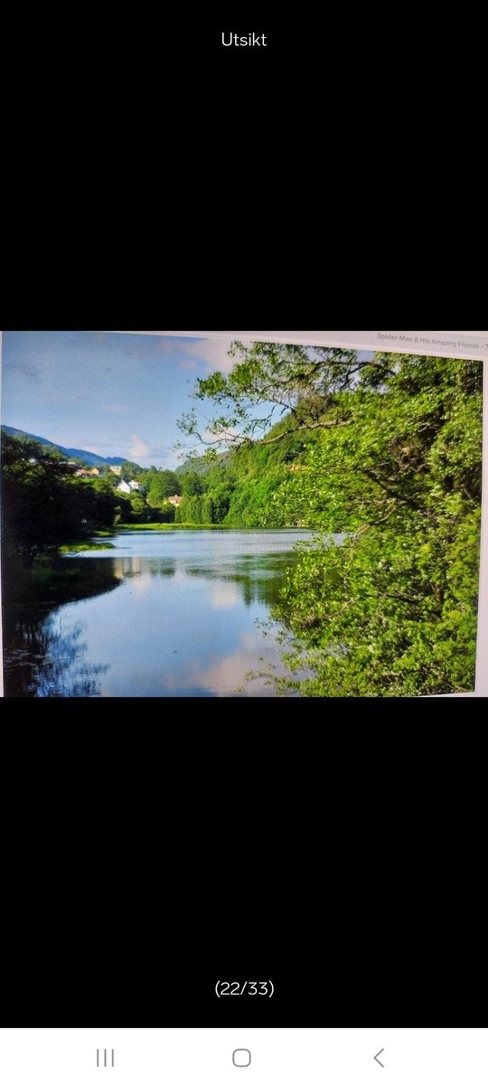 Utsikt Galleribilde