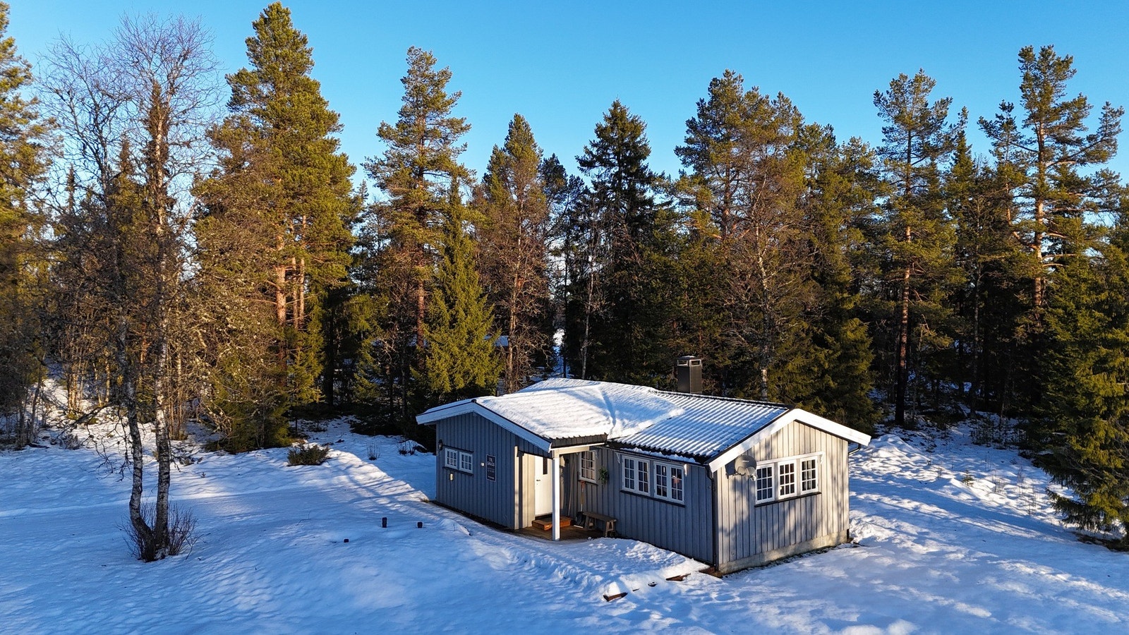 Velkommen på visning! Galleribilde
