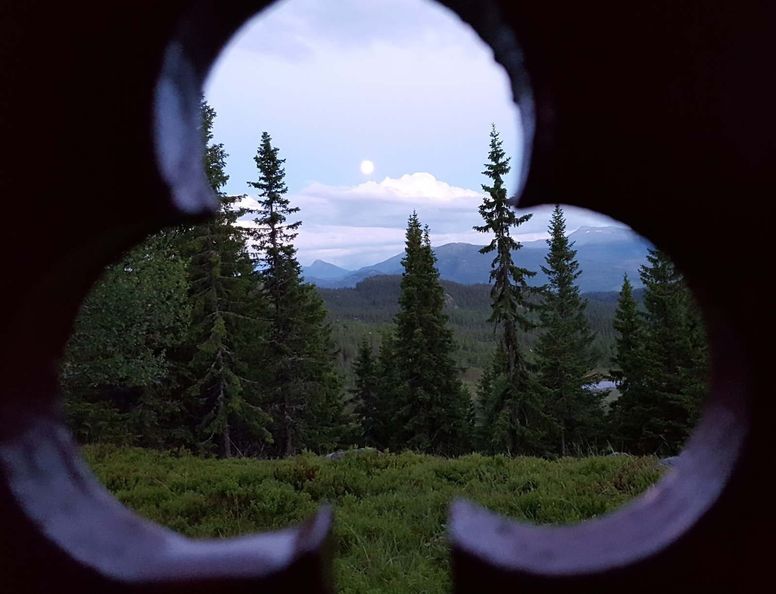 Detaljer Galleribilde