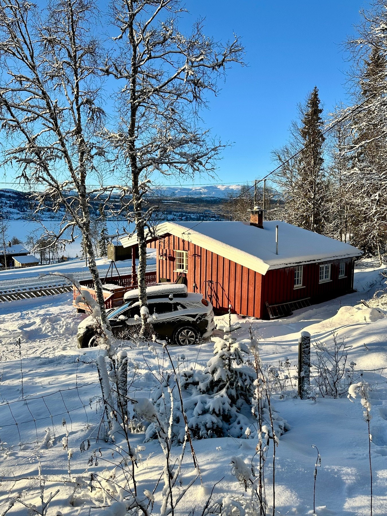 Selgers eget foto Galleribilde