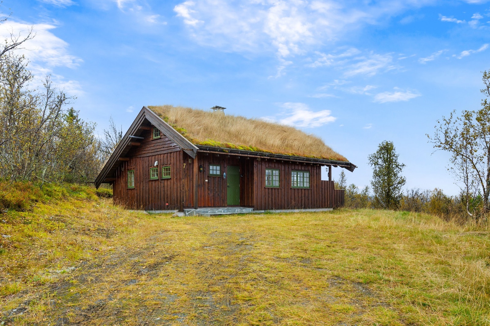 Tomt på nesten 2 mål, opparbeidet med plen og naturtomt. Galleribilde