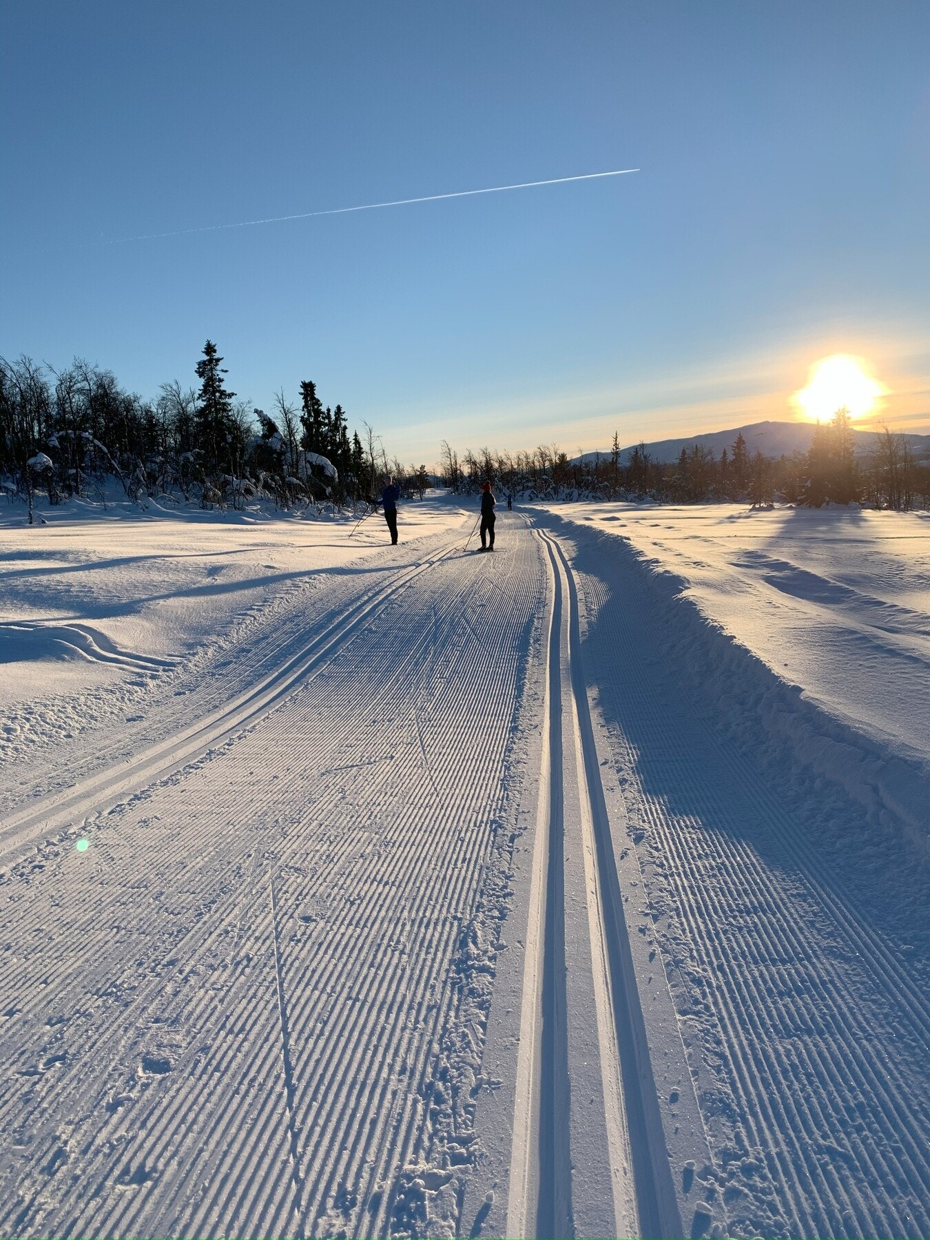 Selgers foto. Galleribilde