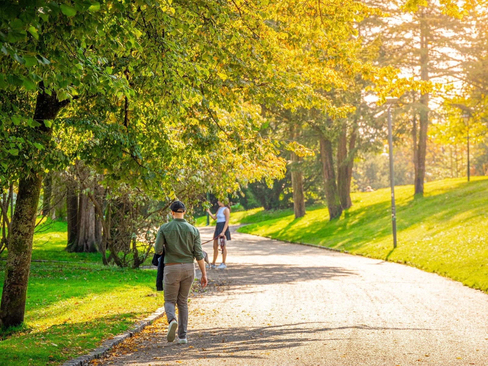 Området kan ellers skilte med fine rekreasjonsområder som Muséhagen og Nygårdsparken i et ellers hektisk sentrum. Galleribilde