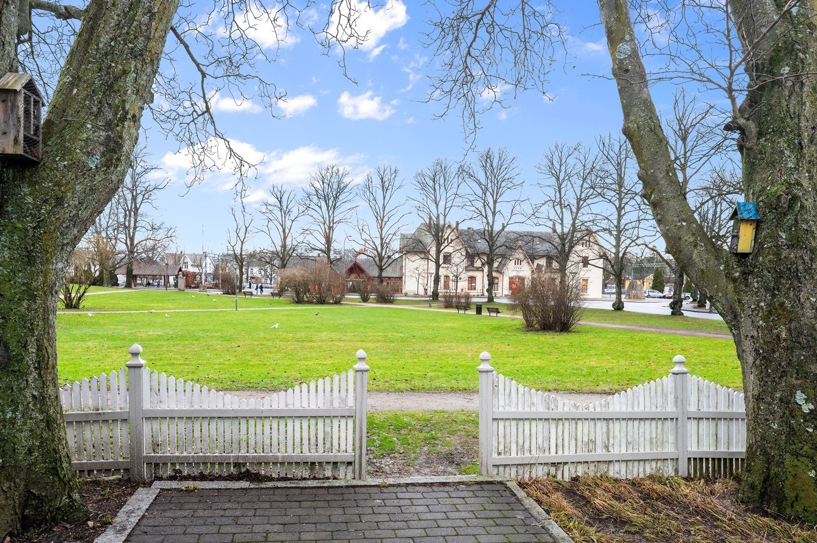 Grøntområde med stier og benker som nærmeste nabo. Galleribilde
