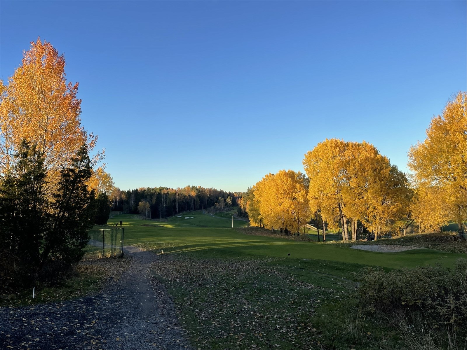 Oppegård golfbane er svært populær. Skipark om vinteren. Galleribilde