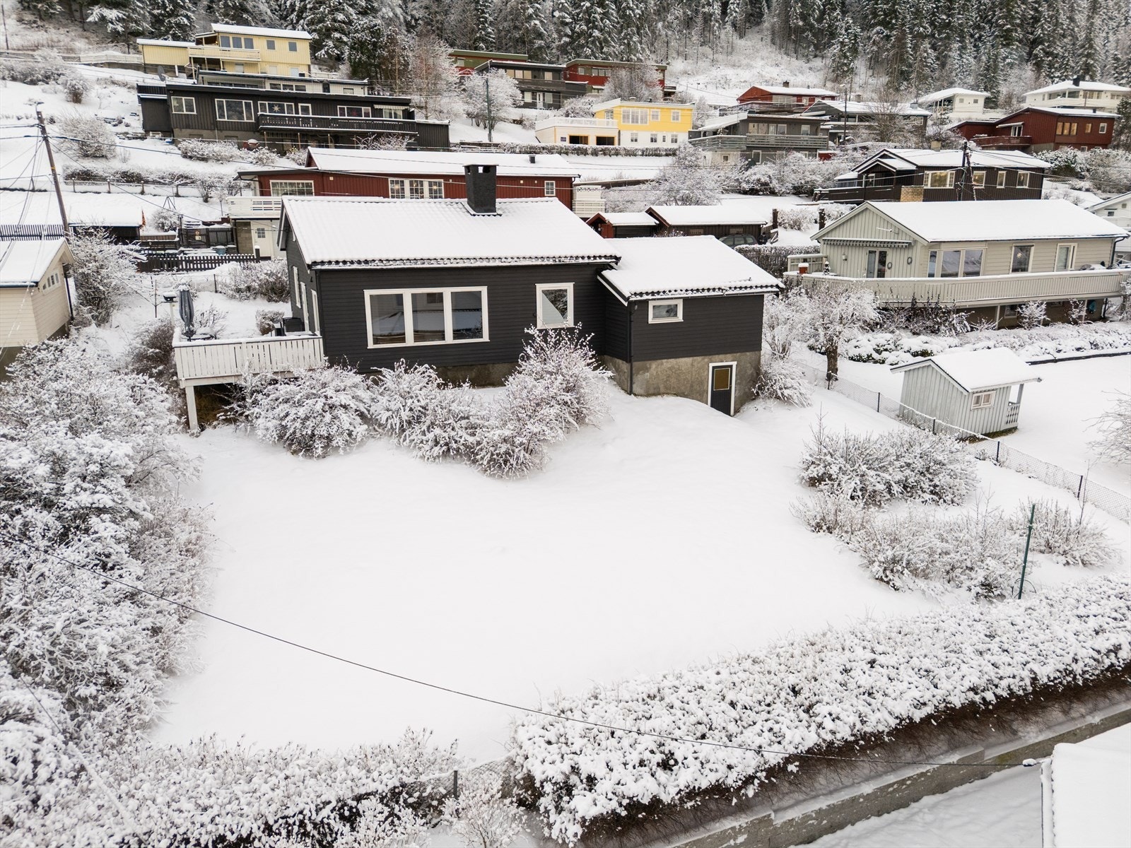 Velkommen til visning! Galleribilde