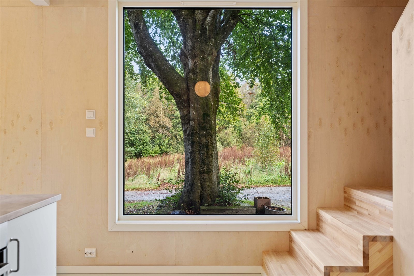 Flott utsikt Galleribilde