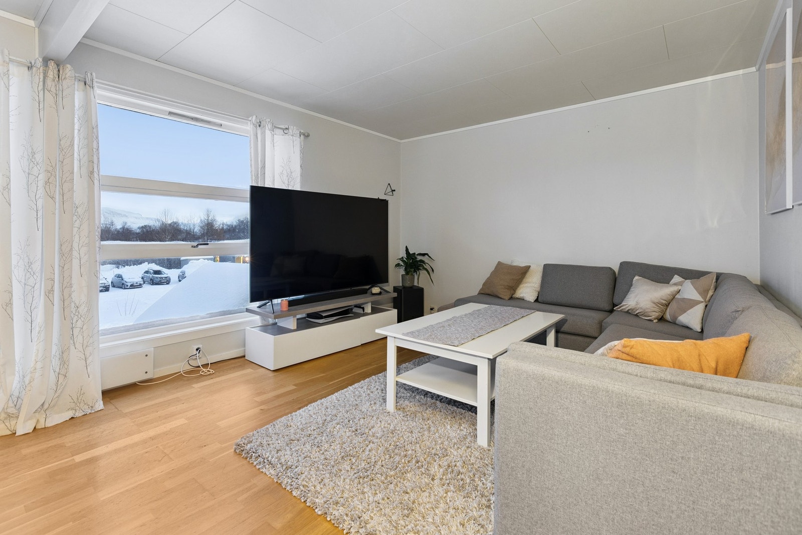 Fin utsikt fra TV-kroken. Galleribilde