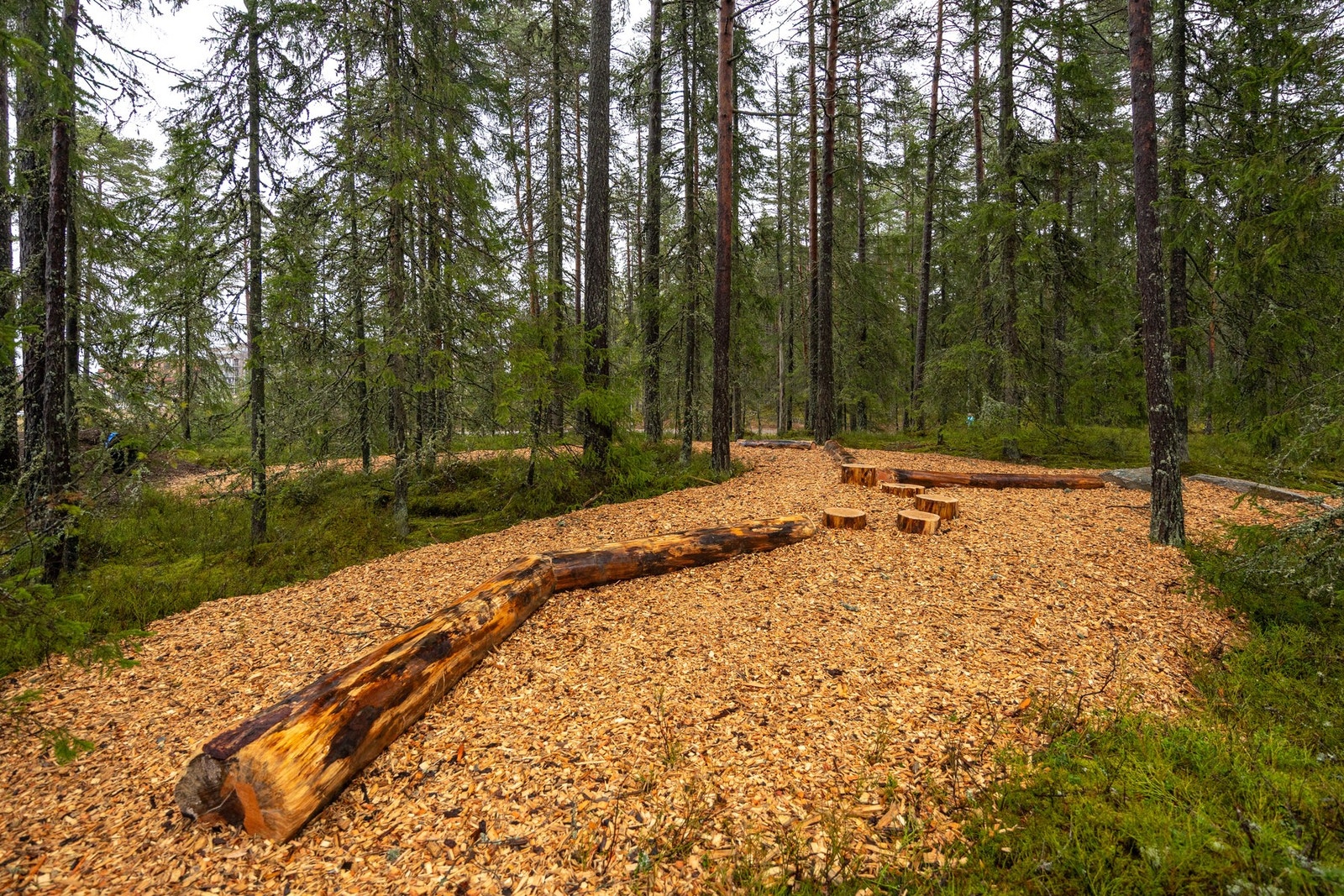 Umiddelbar nærhet til marka. Galleribilde
