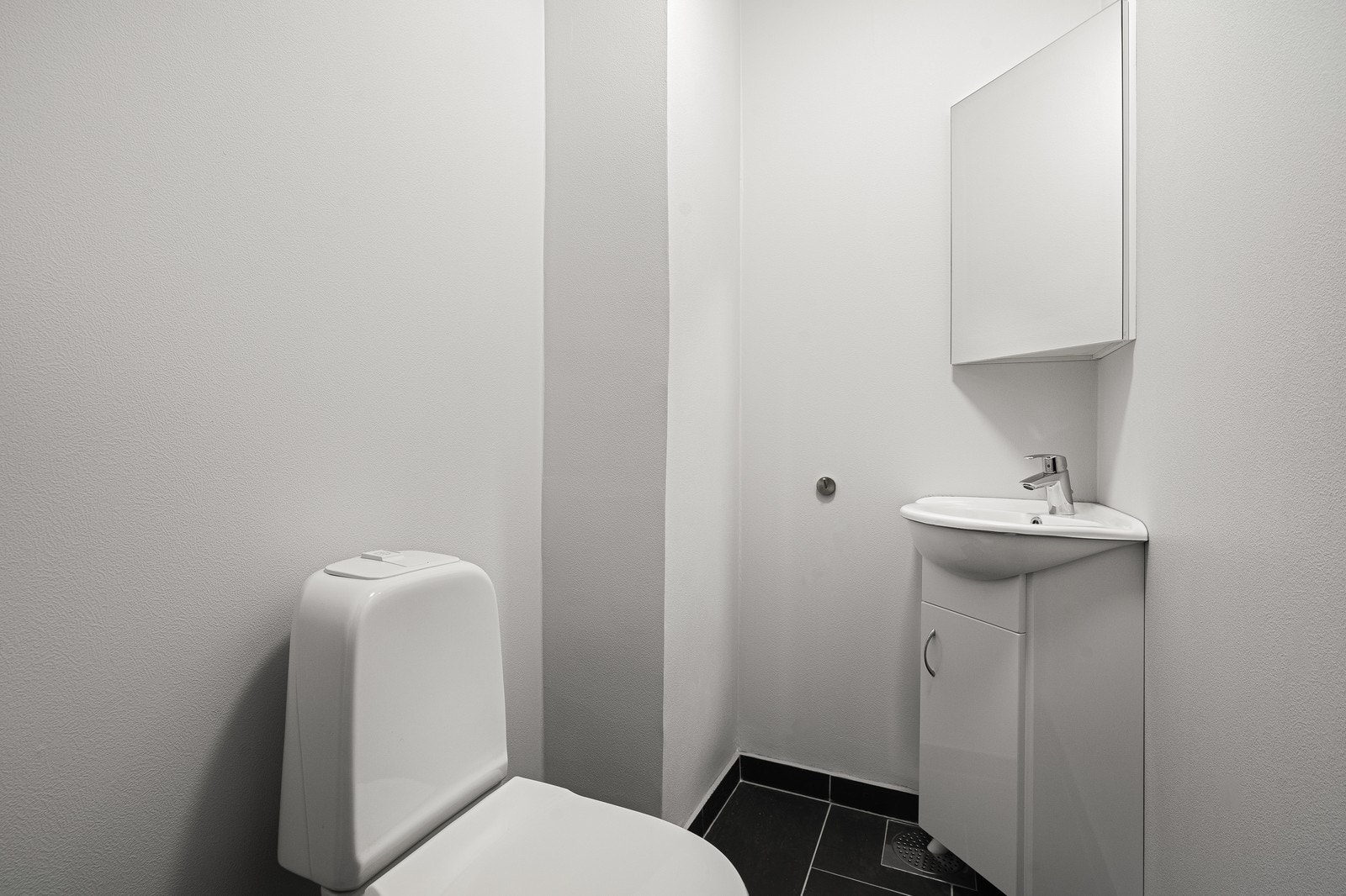 Gjestetoalett Galleribilde