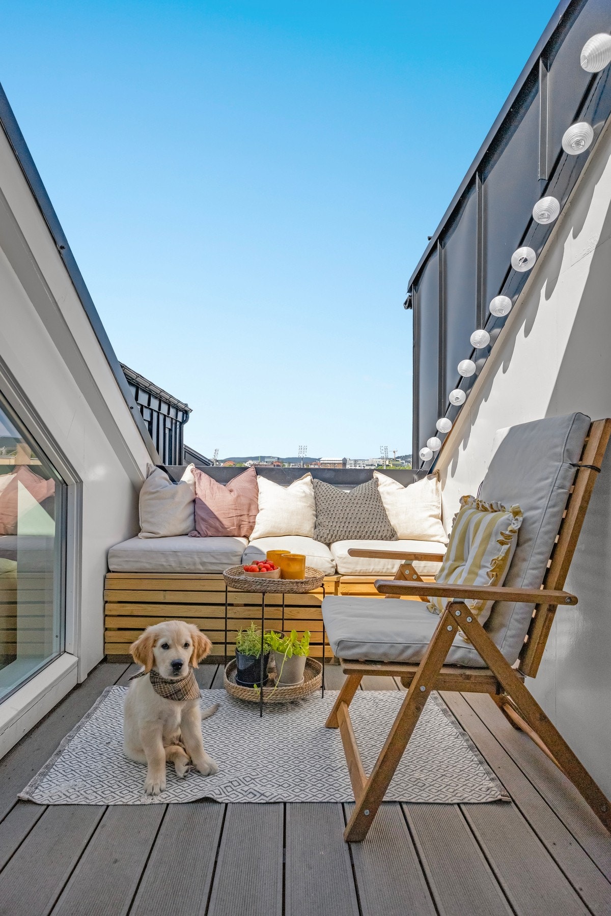 Solrik, privat takterrasse som vender vest - et perfekt sted for sosiale lag. Galleribilde