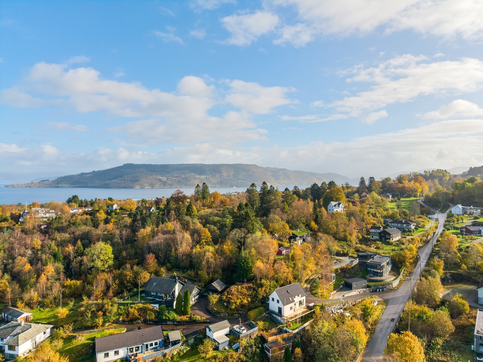 - Området - Galleribilde