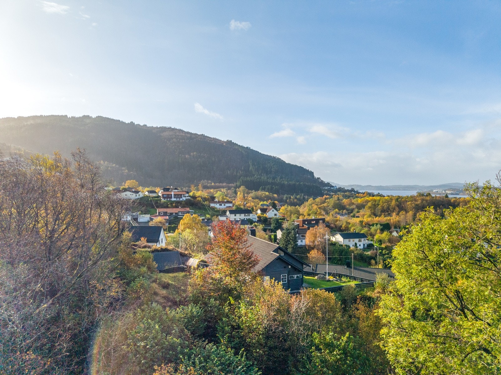 - Området - Galleribilde