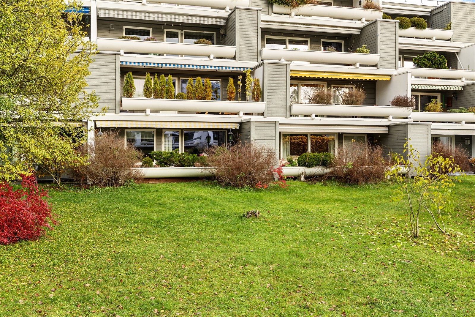 Solrikt og fredelig i et veldrevet sameie med store, grønne og velstelte fellesområder - nærmest som en park Galleribilde