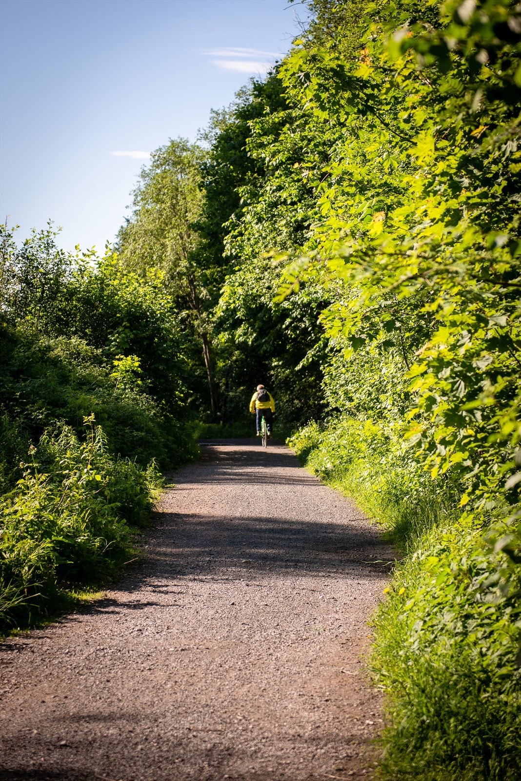 Med Mærradalen som nærmeste nabo, har du tilgang til et frodig og populært skogsområde som strekker seg fra Radiumhospitalet til Sørkedalsveien ved Huseby Galleribilde