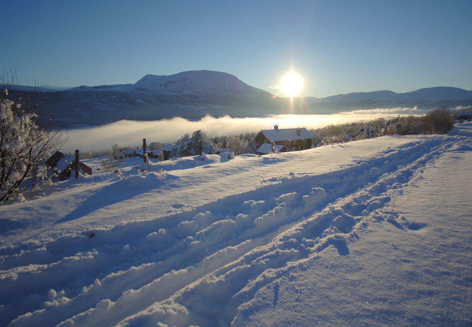 Tilgang til milevis med skiløyper ca. 200 meter fra feltet Galleribilde