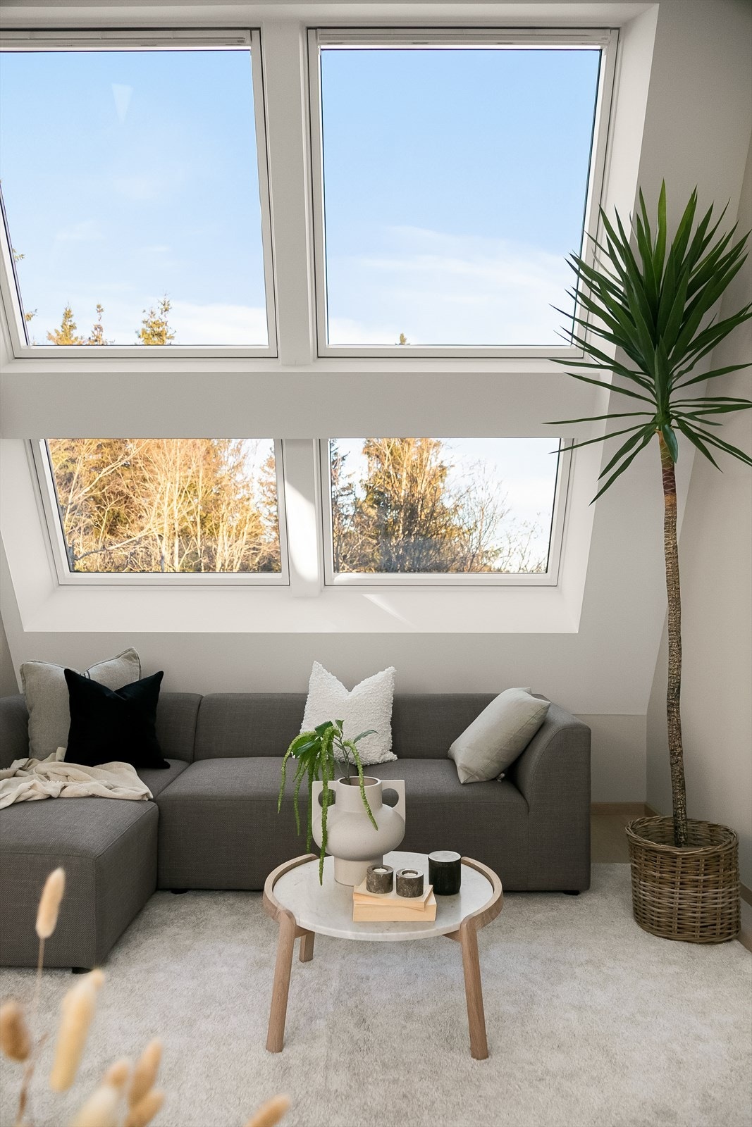 Utsikt rett mot skogen. Galleribilde