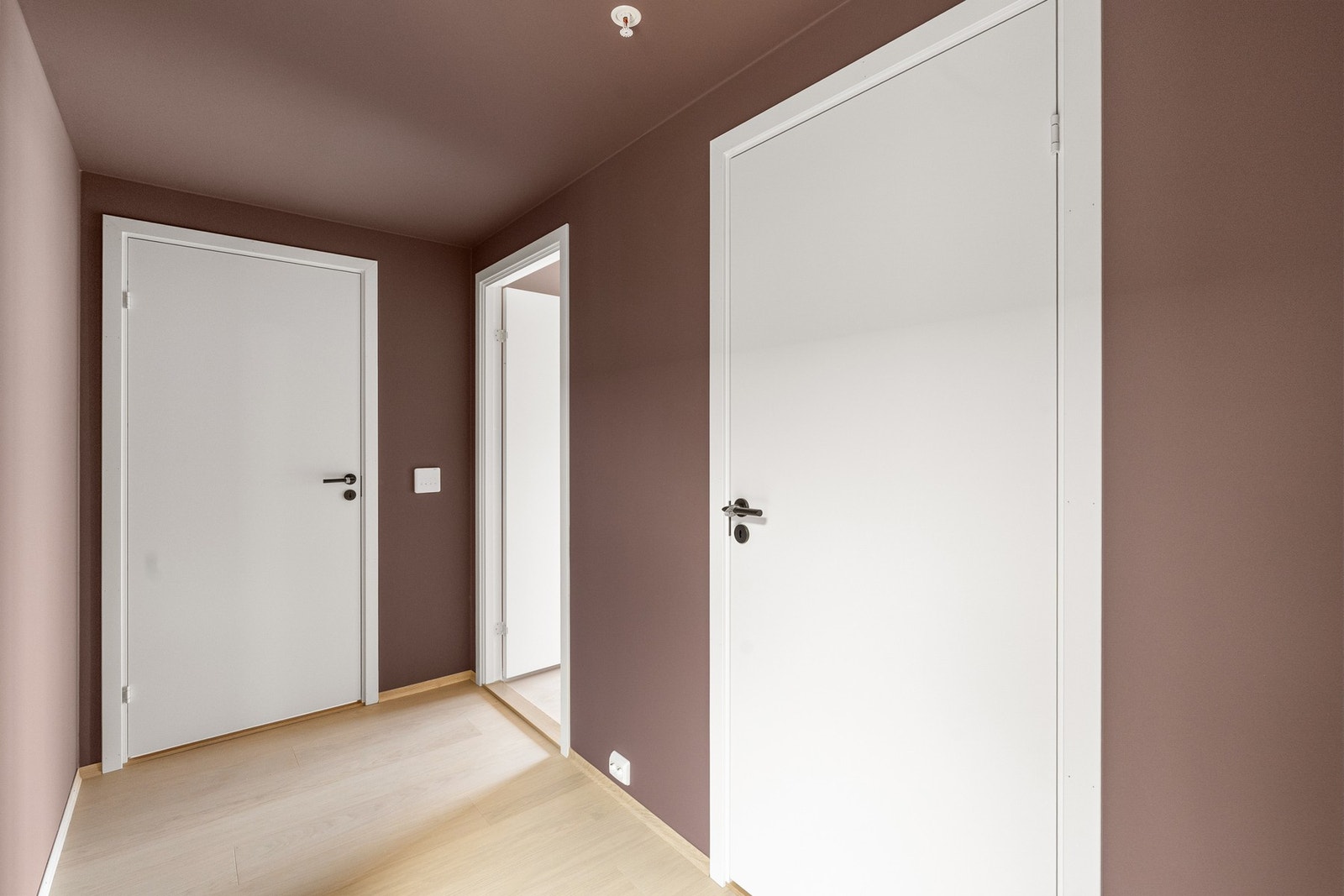 Pen gang malt i moderne farge. Galleribilde