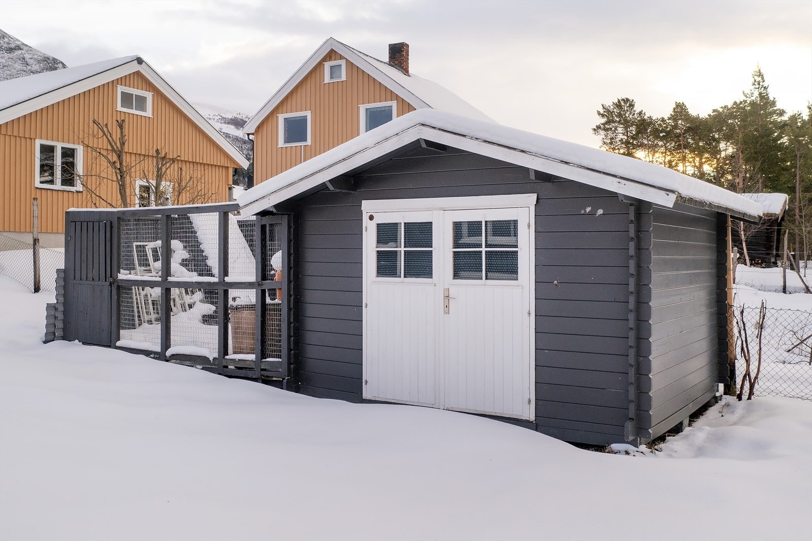 Frittstående uthus med hundegård i hagen Galleribilde