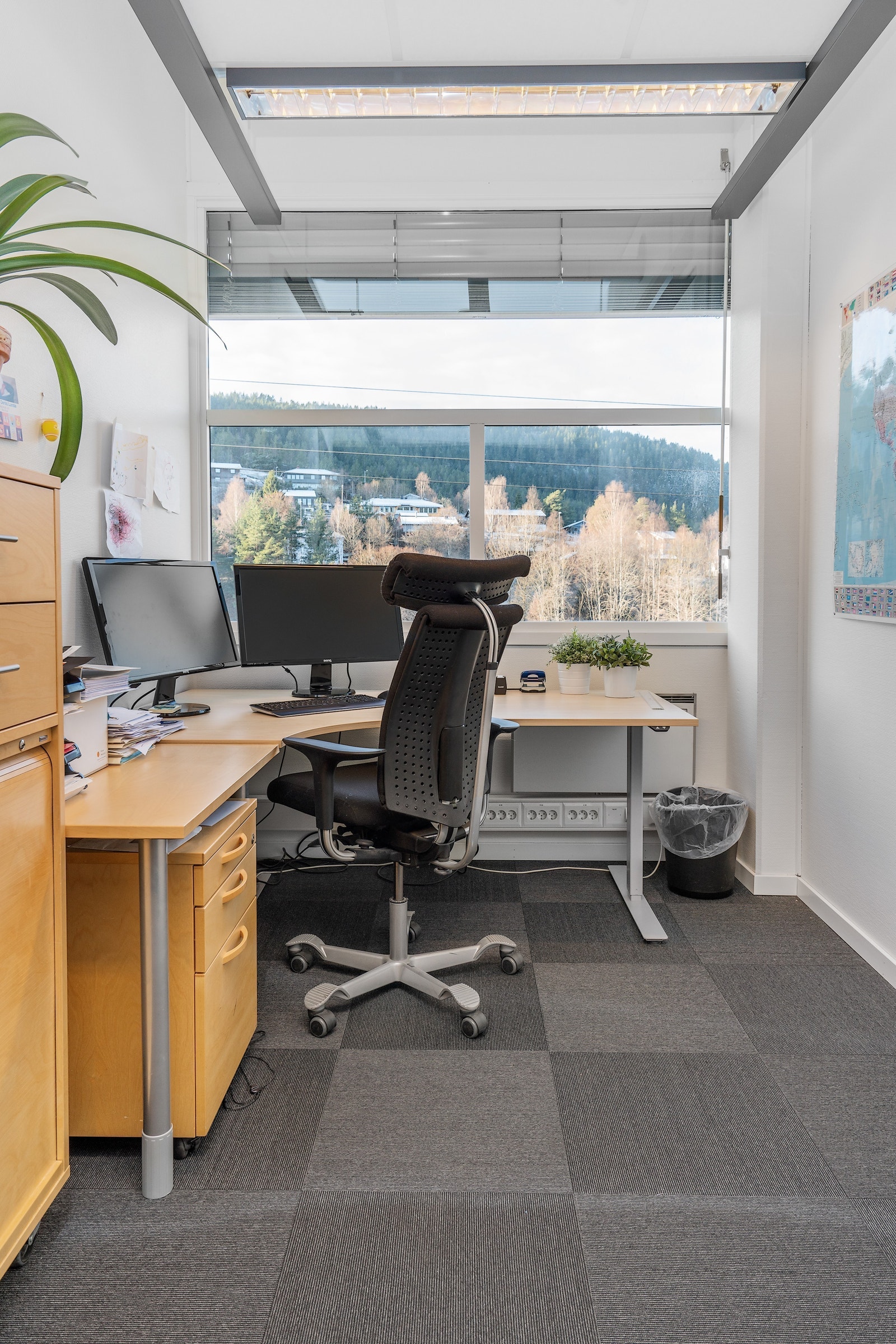 Lyse enkeltkontorer med god utsikt og innlyd. Galleribilde