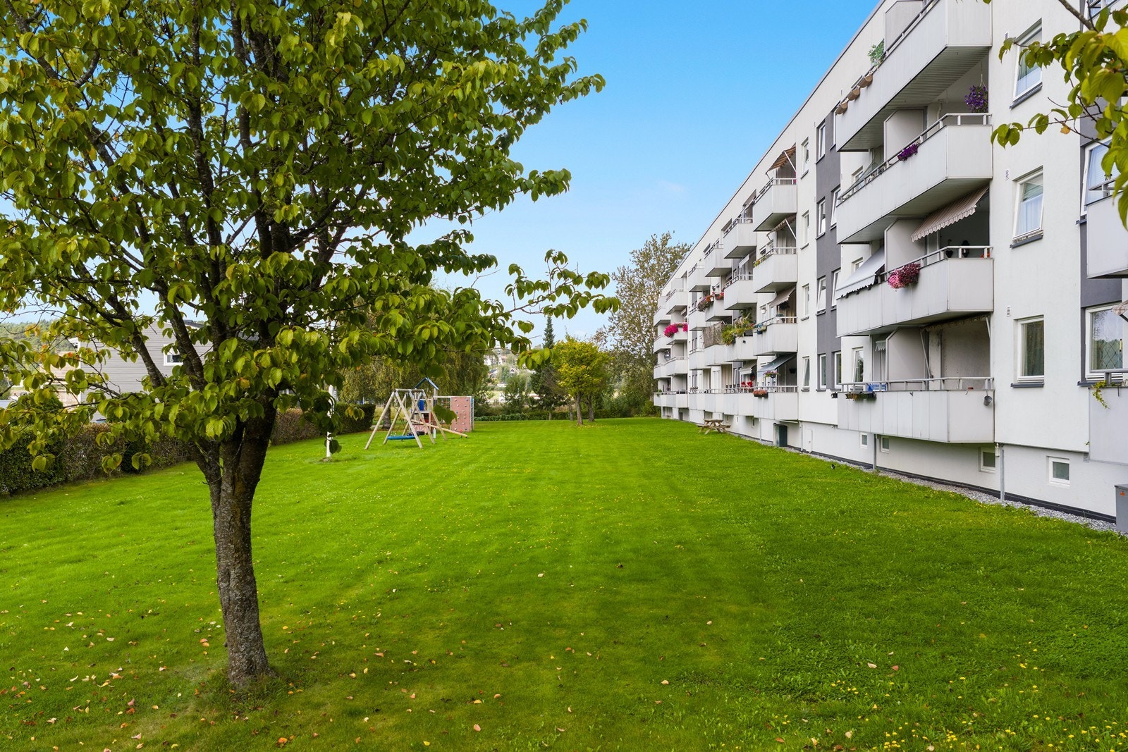 Felles tomt for borettslaget Galleribilde