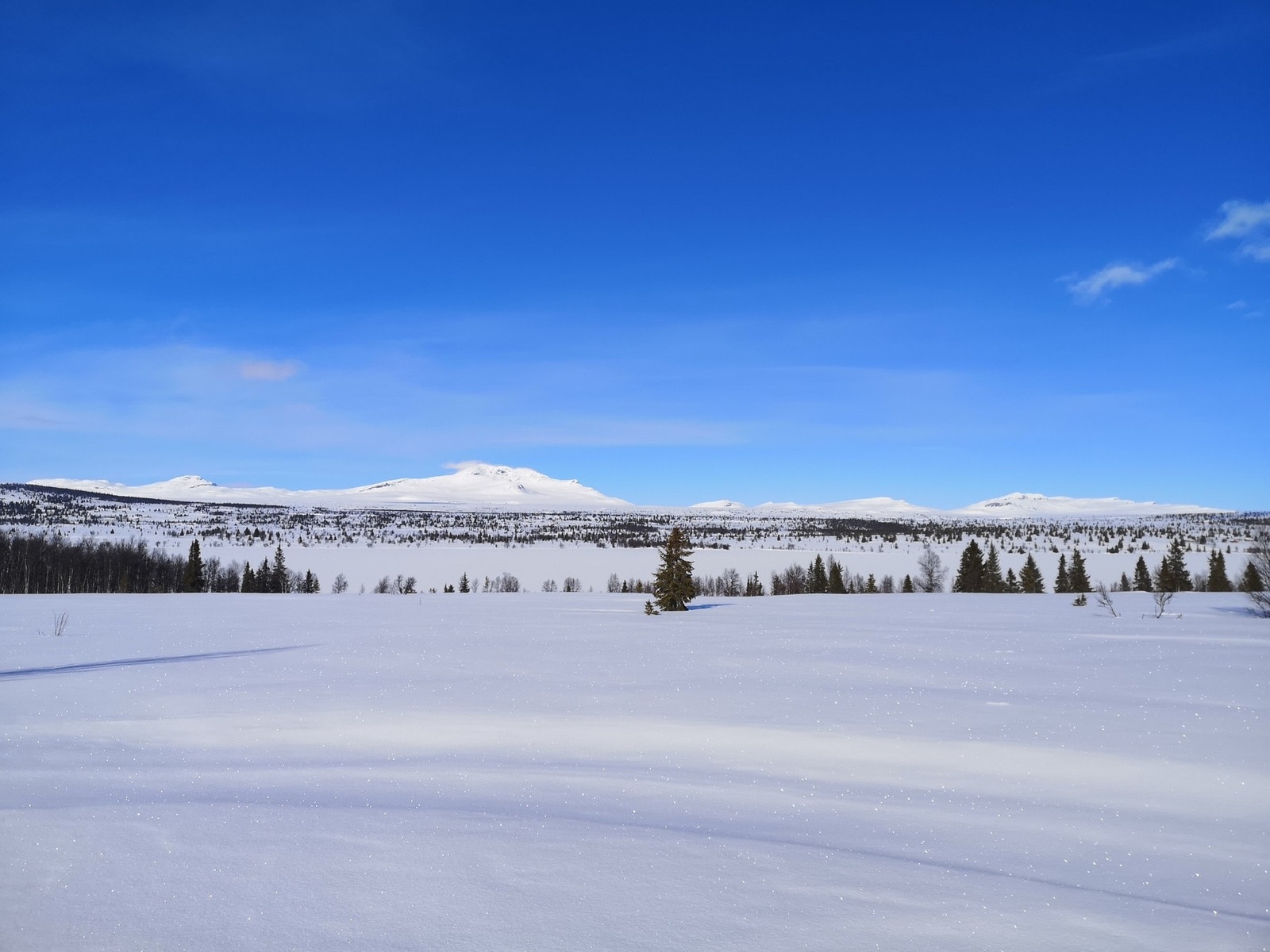 Her kan man ta seg på ski rundt om de flotte hytteområdene. For den som liker å gå lengre turer kan en følge løypenettet som går helt fra Beitostølen til Aurdalsåsen Galleribilde