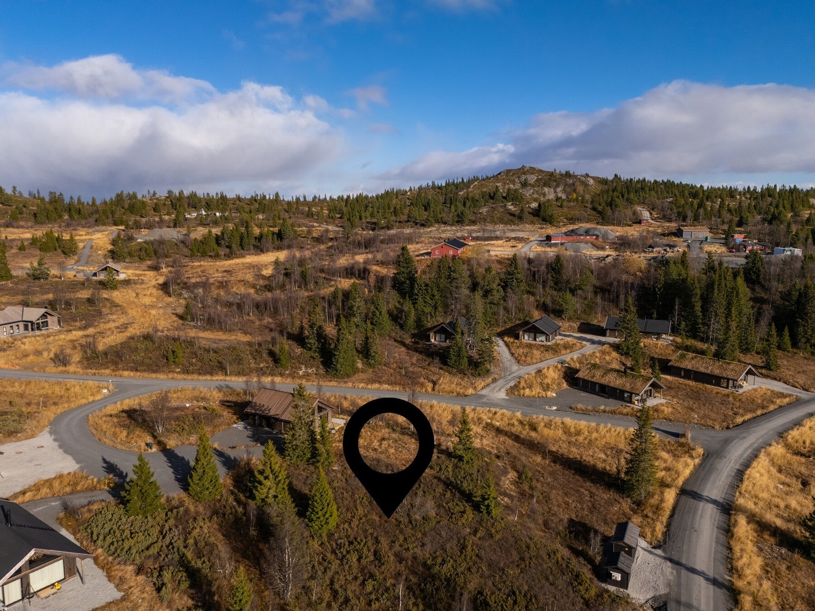 Relativt flat tomt med naturlig vegetasjon på 836,8 kvm. Galleribilde