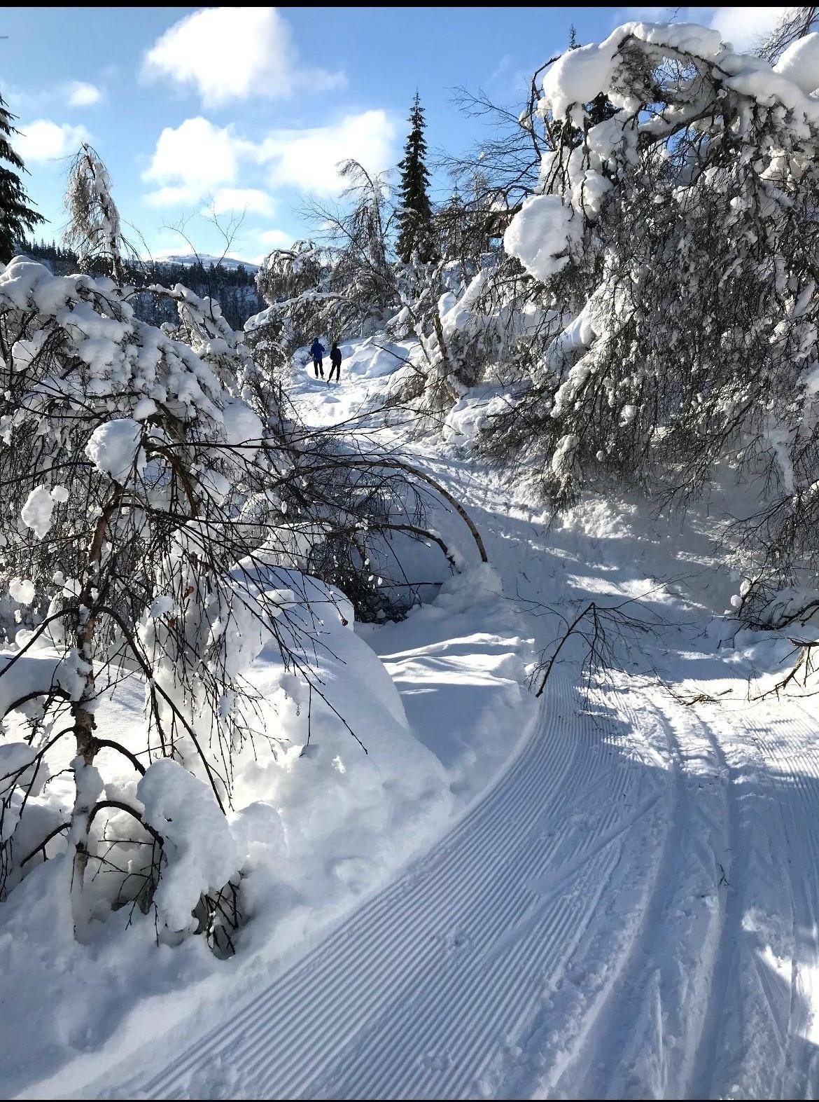 Skisporet (privat bilde) Galleribilde