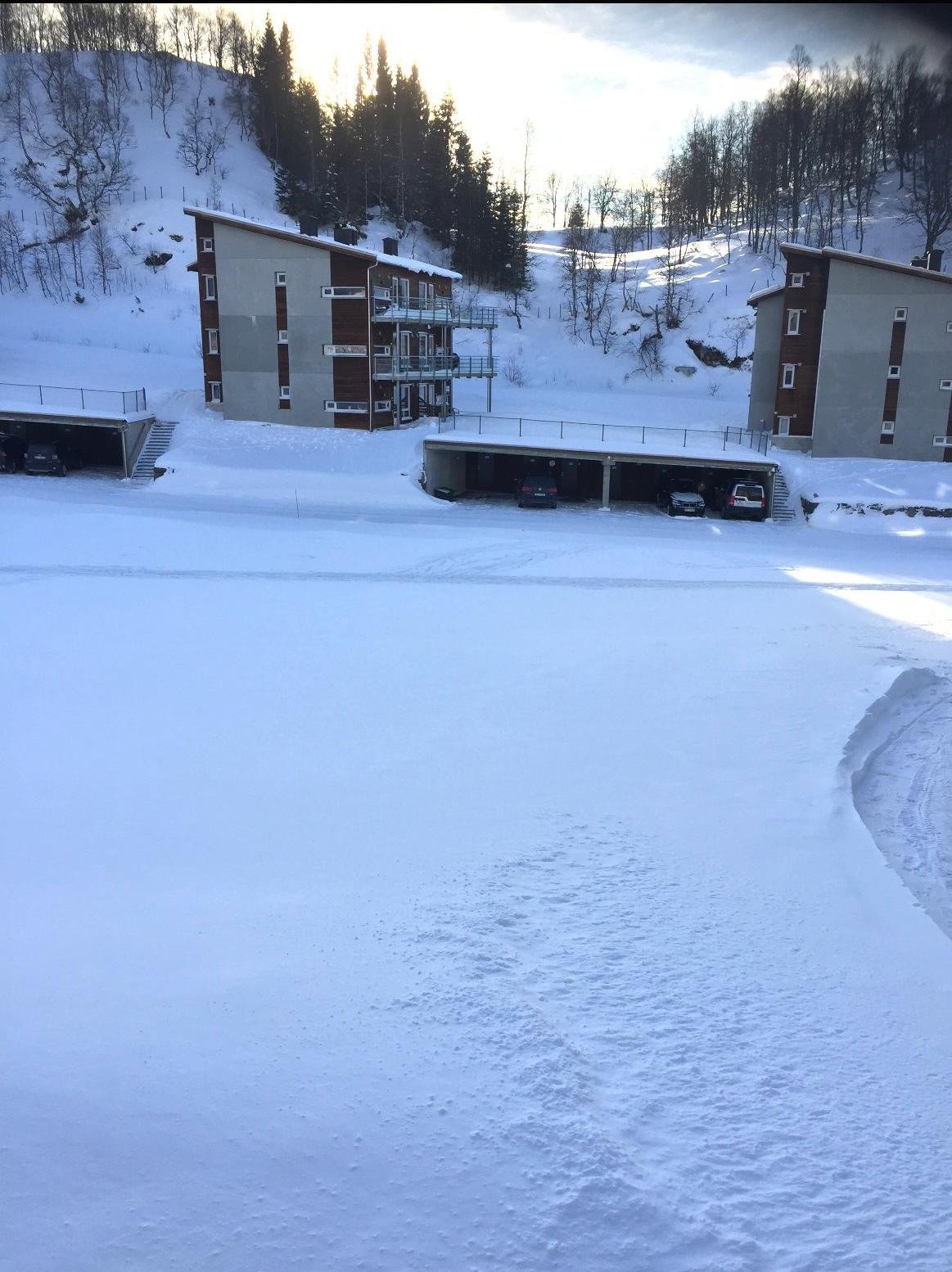 Sinnestunet i vinterdrakt (privat bilde) Galleribilde