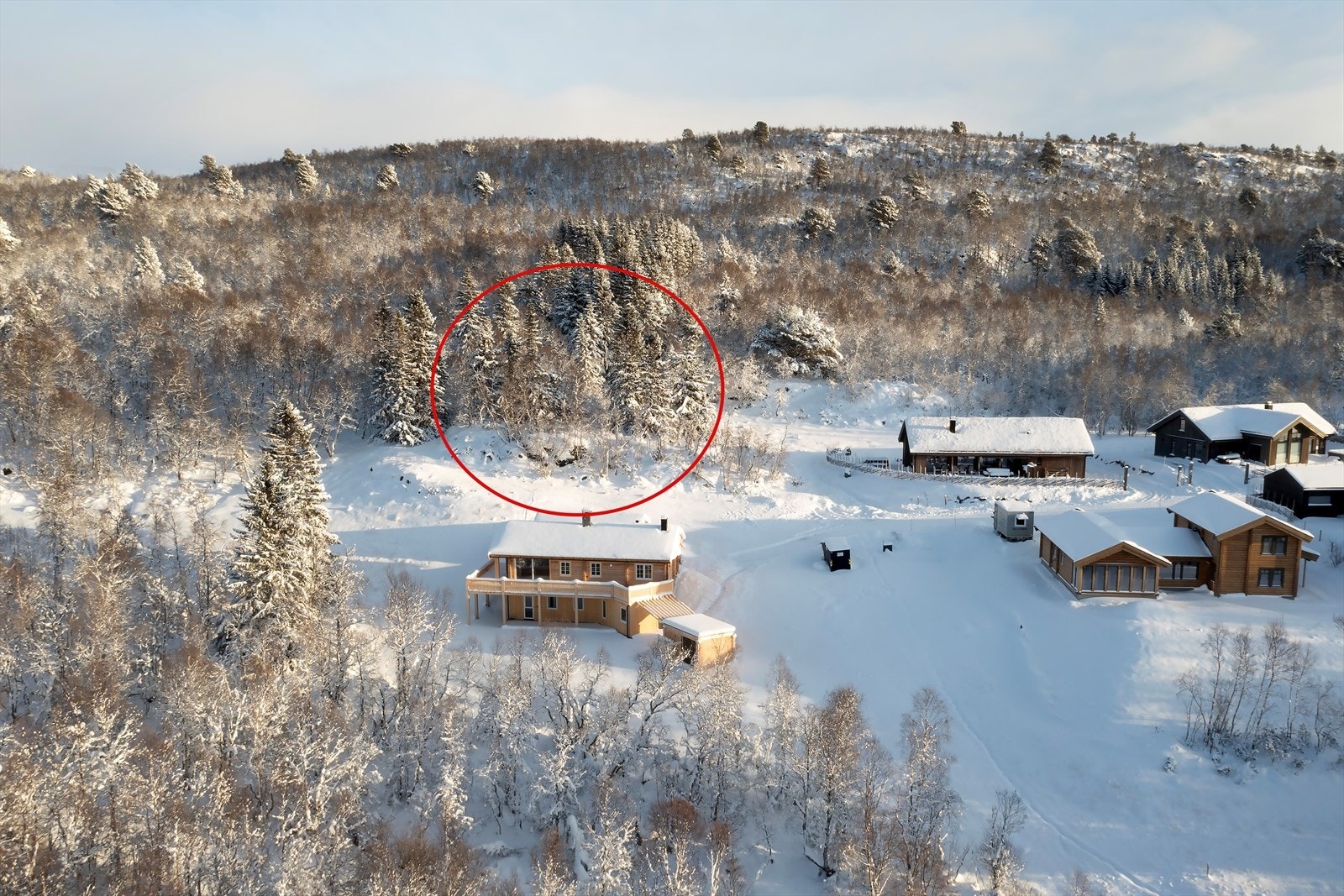 Tomten sett fra vest Galleribilde