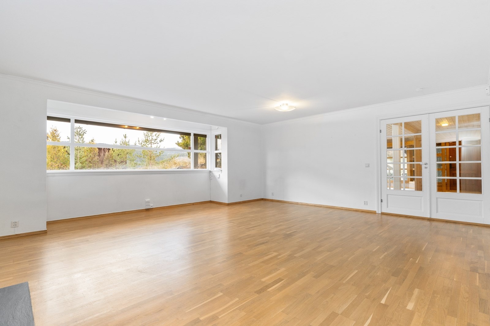 TV-stue. Galleribilde