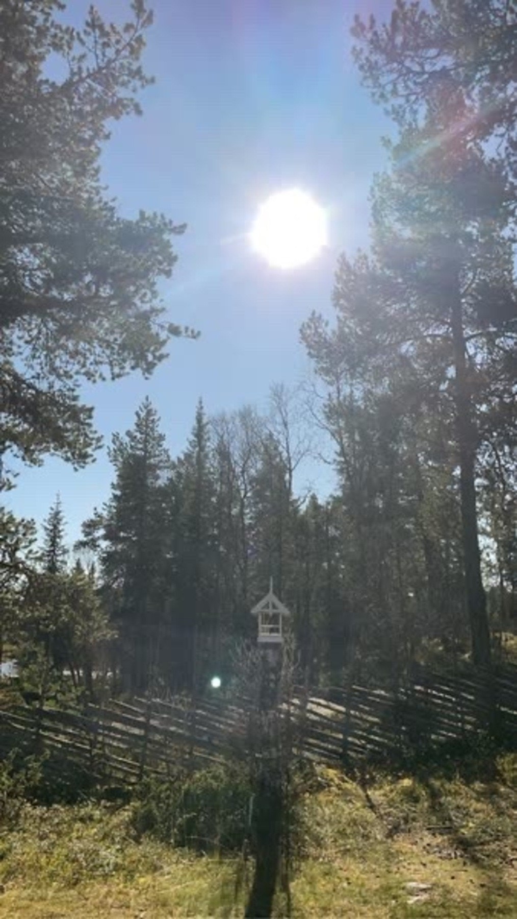 Selgers bilde Galleribilde