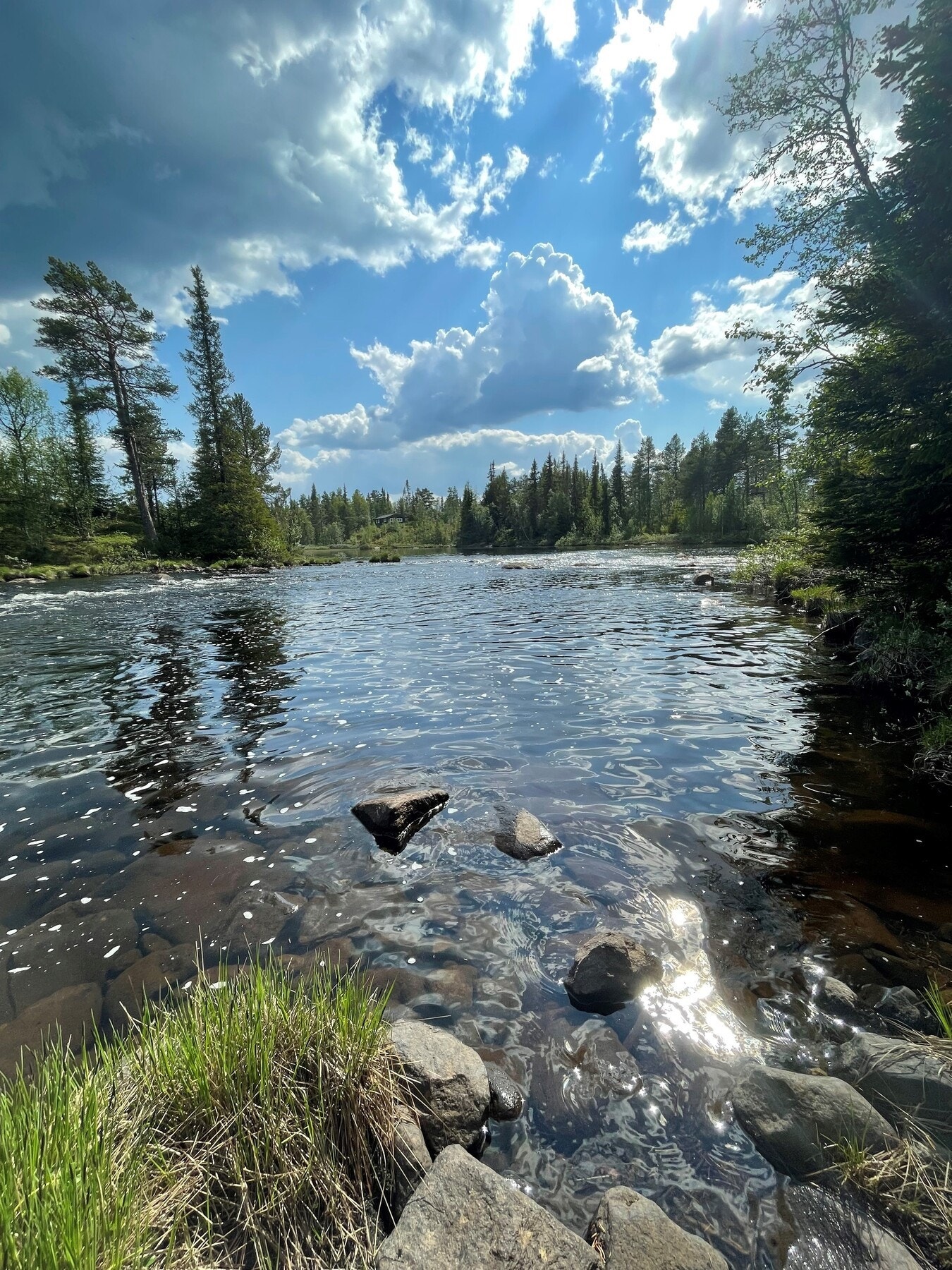 Selgers bilde - idyllisk elv Galleribilde