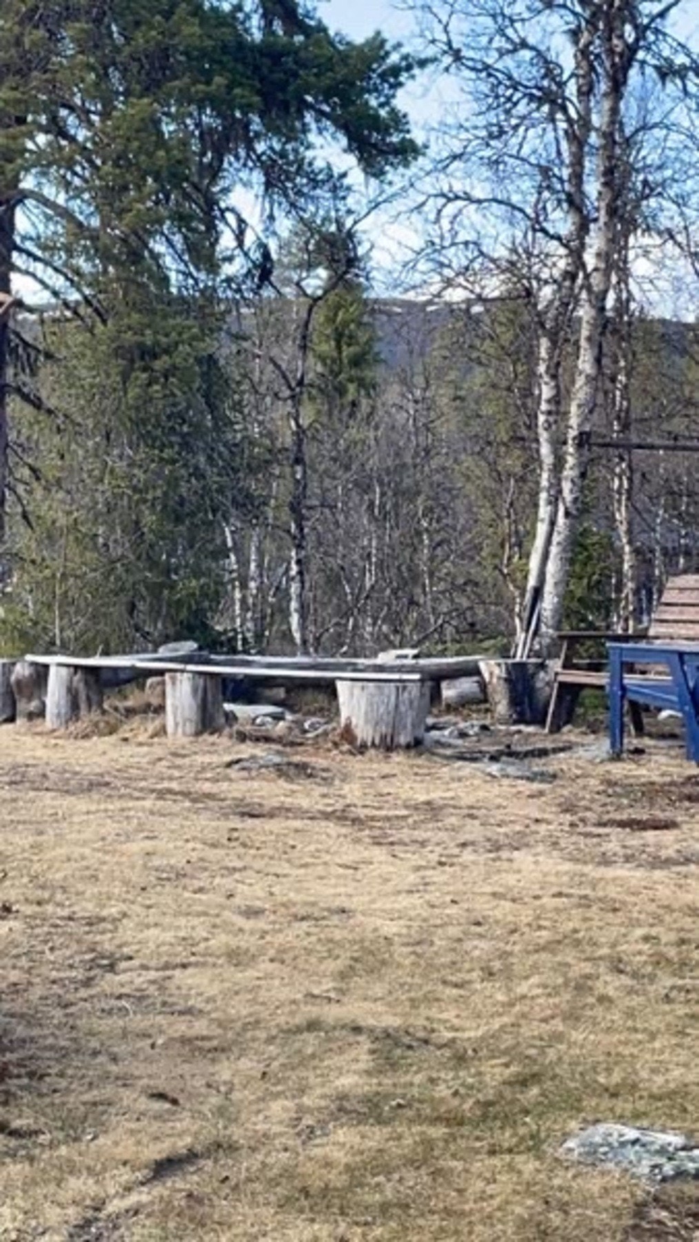 Selgers bilde Galleribilde