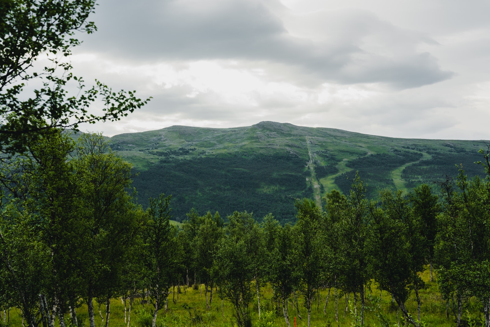 Dronebilde fra tomteområdet Galleribilde