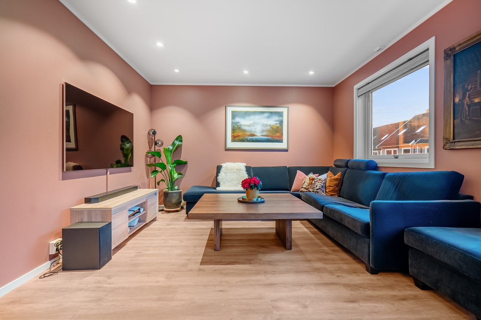 Stue/tv-stue Galleribilde