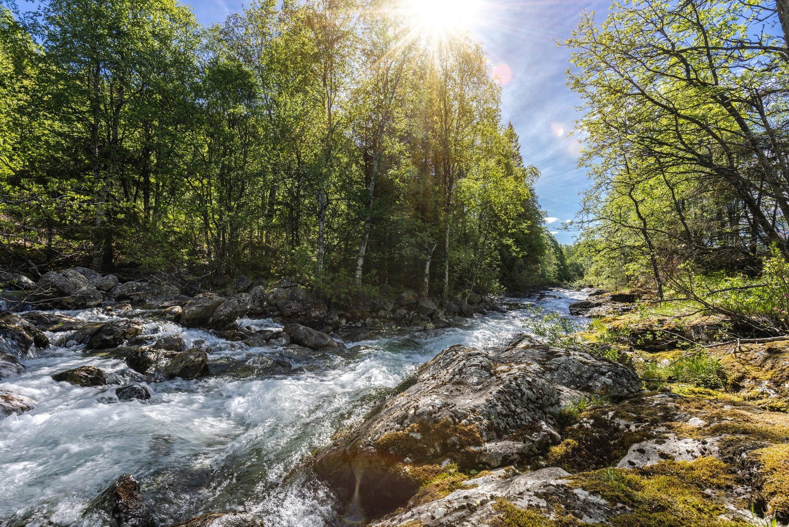 Idylliske rekreasjonsområder i umiddelbar nærhet. Galleribilde