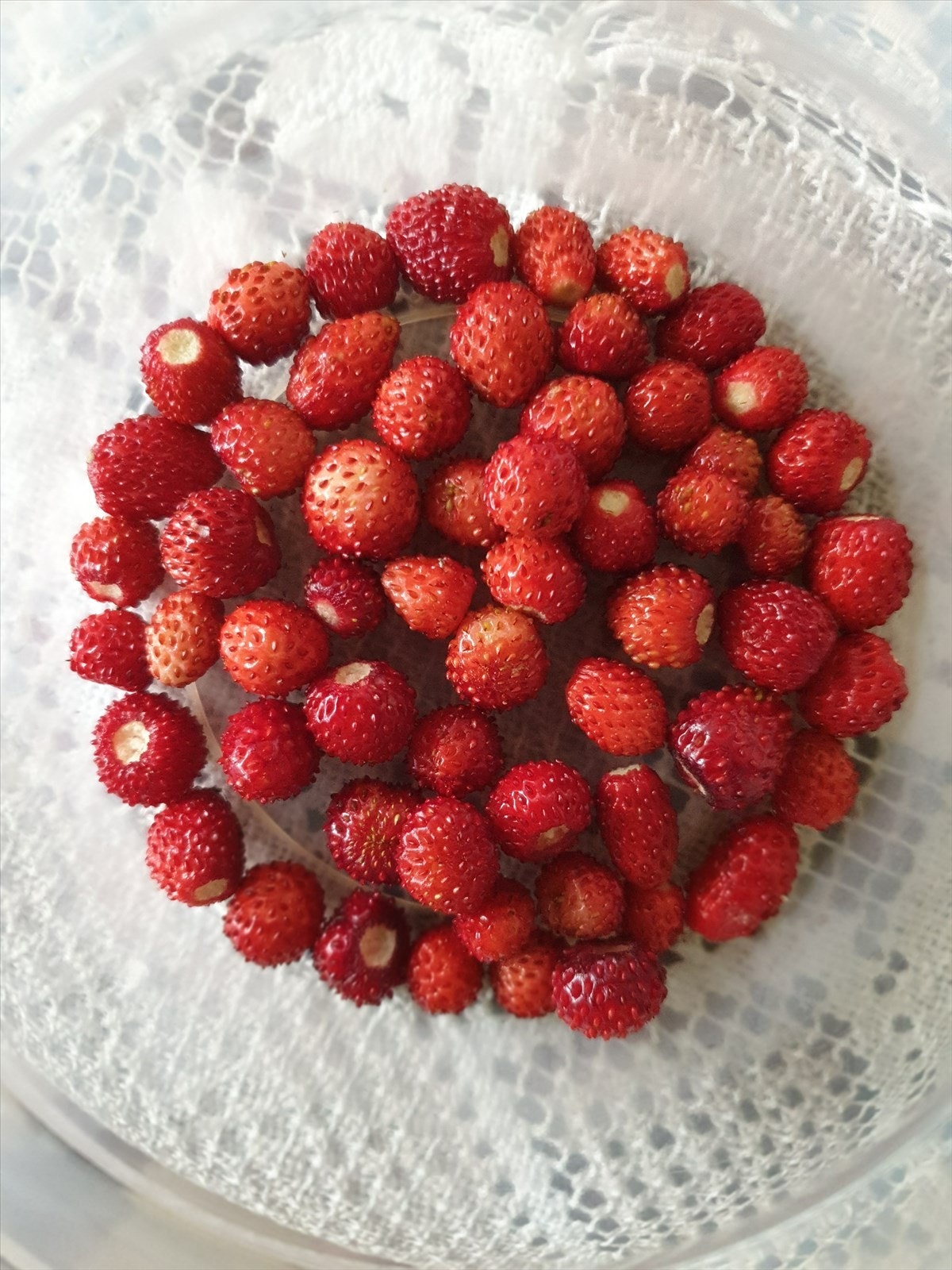 Selgers egne bilder - Villjordbær som er plukket på tomta. Galleribilde