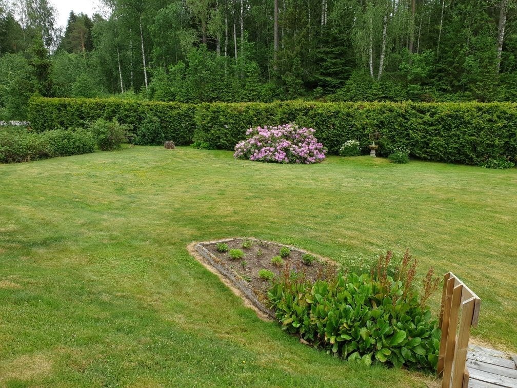 Selgers egne bilder Galleribilde