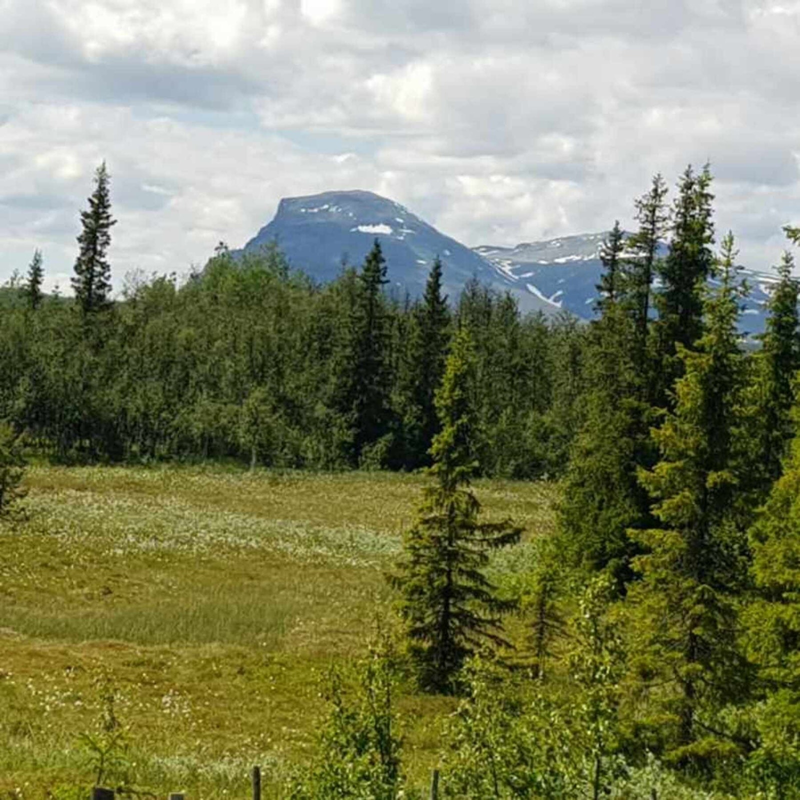 Selgers eget foto i fra området. Galleribilde