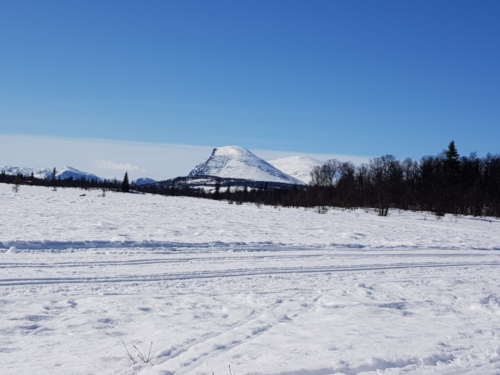 Selgers eget foto i fra området. Kort avstand til preparerte skiløyper tilknyttet et stort løypenett. Galleribilde