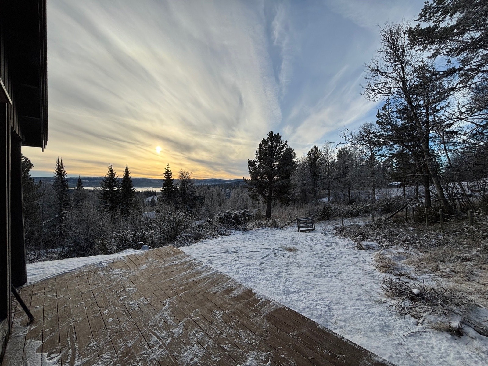 Selgers eget bilde Galleribilde